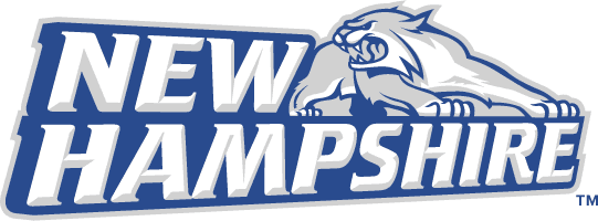 New Hampshire Wildcats 2000-Pres Alternate Logo DIY iron on transfer (heat transfer)
